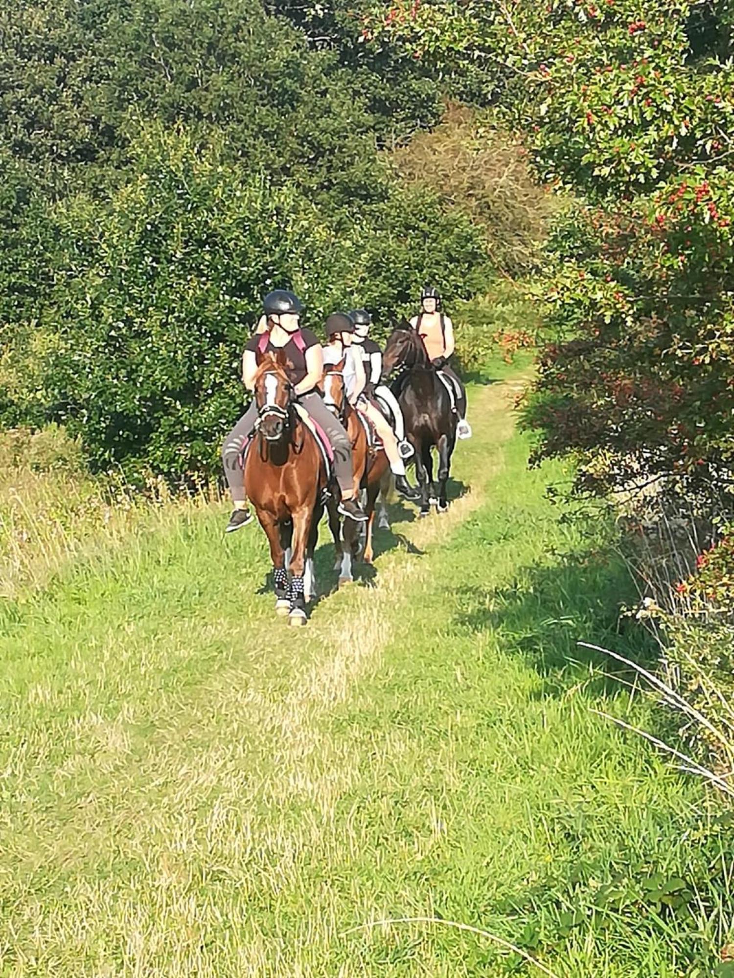 Ferienwohnung Reitanlage Baerenz Selk Dış mekan fotoğraf